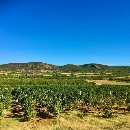 Corbieres Montséret