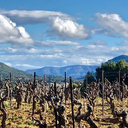 Corbieres *