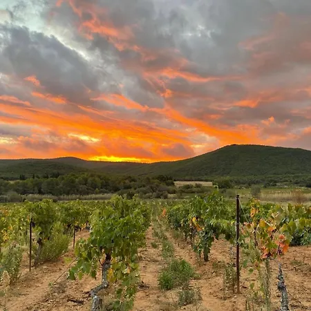 Corbieres Montséret